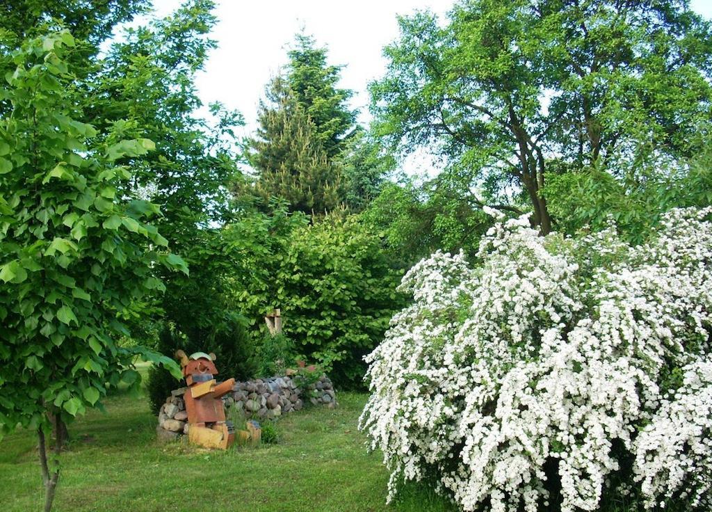 Ferienwohnung Marienkaefer Wulkow  ภายนอก รูปภาพ